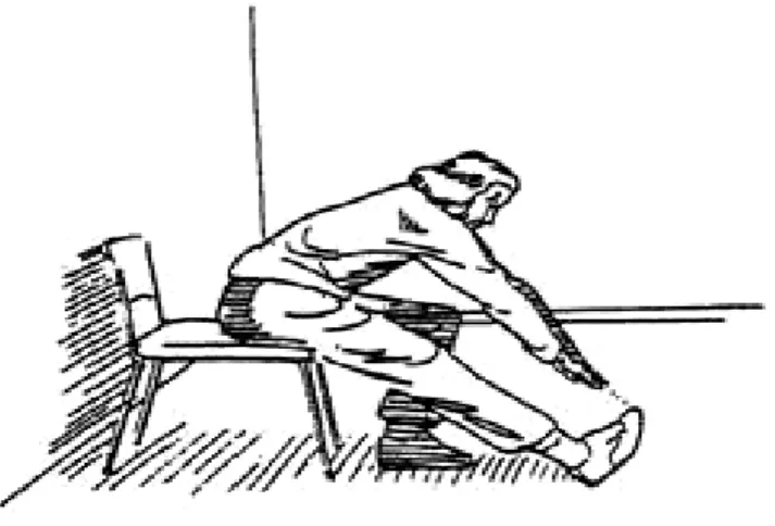 Figura 7 – Sit and Reach Test 