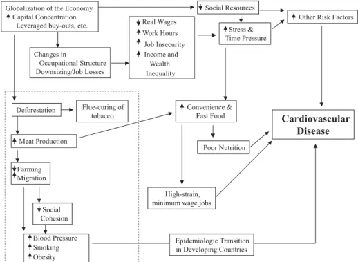 Figure 6 - Connections between the Global Economy and Health in Poor and Wealthy Countries.