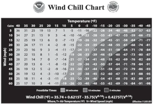 Figure 1 - How Temperature and Wind Velocity Determine the Wind Chill.