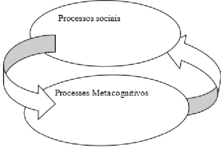 Figura 3: Relação entre os processos metacognitivos e os processos sociais (baseado em Little, 2003)