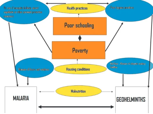 Figure 1. Causal webs linking soil-transmitted helminths and malarial occurrence.  orange =  structural determinants, yellow = anchorage determinants, blue = risk factors.