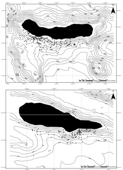 Figure 1. Delphinus delphis sightings in relation to bathymetry in Sao  Miguel (up) and Pico (down) Islands 