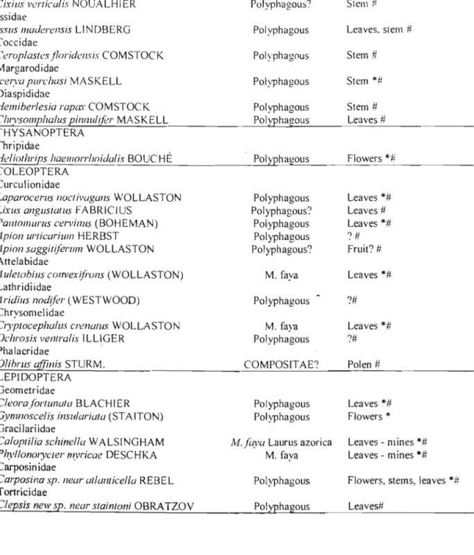 Table  J - Phytoph&lt;lgous  insects associated  with  /I-/ITicafaru  in  r-,· 1adeira  island