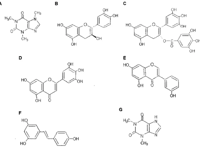 Figura 11 - Estrutura dos compostos testados. A, cafeína; B, (+)-catequina; C, (-)- (-)-epigalocatequina-3-galato; D, miricetina; E, quercetina; F, fra/is-resveratrol; G, teofilina