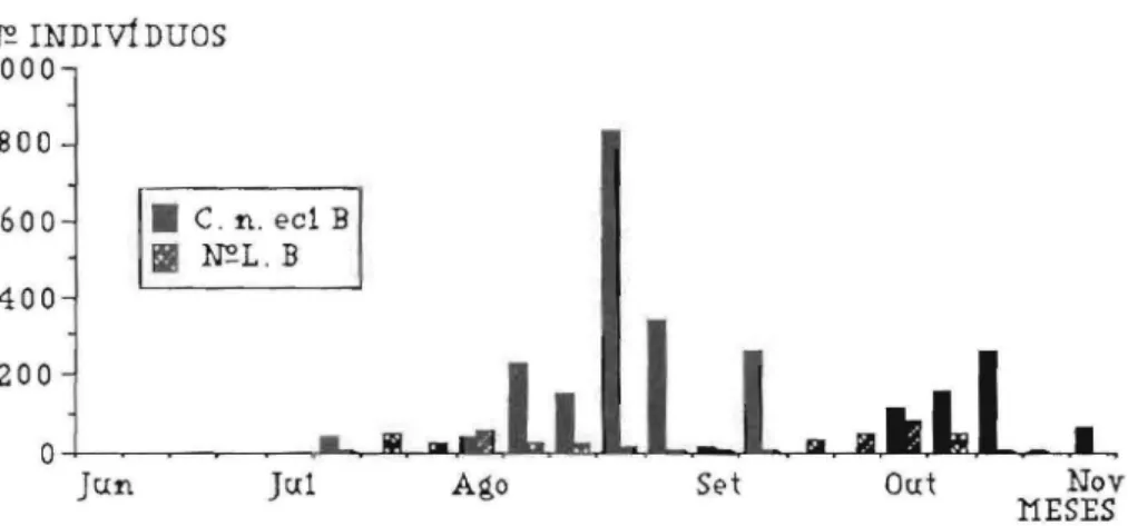 Figura  4.  Número  de  casulos,  lião  cclodldos,  de  A  m&#34;&#34;ans  (C  o  eel  D)  e  de  la rvas  de  M  uni- uni-punCIa  (N°  L  O)  em  5  m 2  observados,  de  Junho  a  Novembro  de  1989,  na  Alt.prado