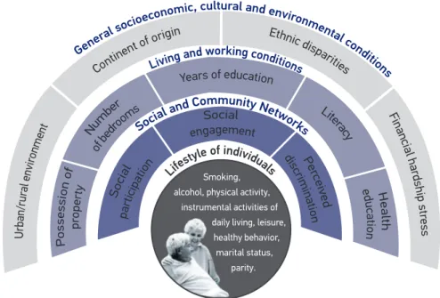 Figure 1. Model of social determinants of mortality in the elderly.