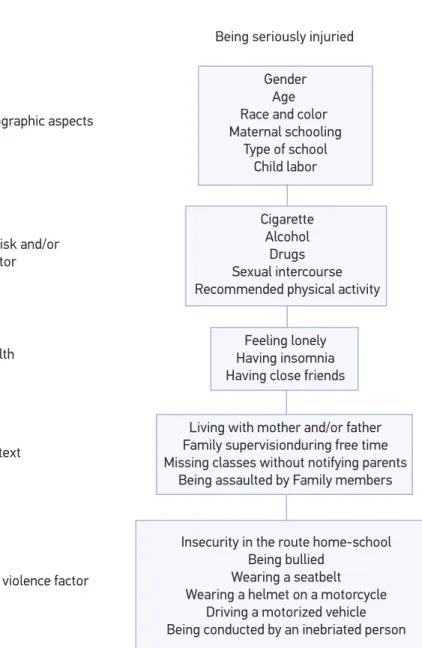 Figure 1. Hierarchical model proposed to determine the occurrence of serious injuries in Brazilian  school-aged adolescents, National Adolescent School-based Health Survey (PeNSE), Brazil, 2012.