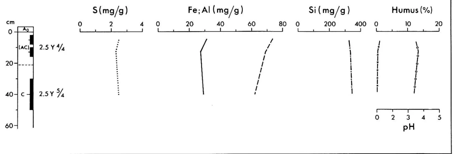 Abb. 7. Chemische Analysen, Bodenprofil 3 (Alter 120-130 Jahre). Symbole wie in Abb. 5.
