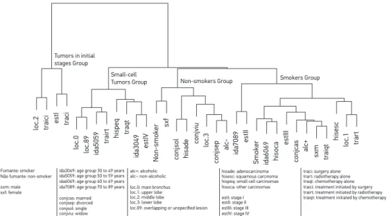 Figure 2. Dendrogram of the coordinates of the ﬁrst two dimensions of the correspondence analysis