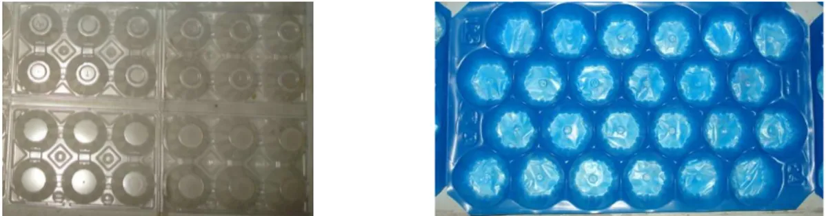 Fig. 12 e 13 – (esq.) CP12-a-i - Caixa de Plástico para 12 ovos com superfície inversa voltada para cima
