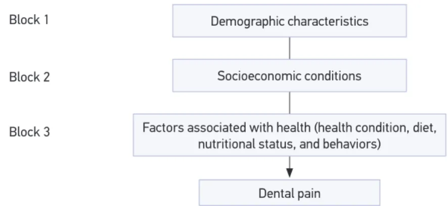 Figure 1. Hierarchical model proposed for the determination of dental pain in children under ive  years old in Goiânia (GO).