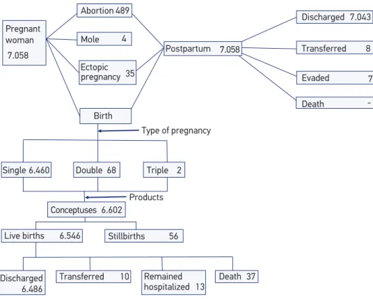 Figure 1. Scheme of the possible situations of women and their conceptsus from six hospitals,  State of São Paulo, 2011.