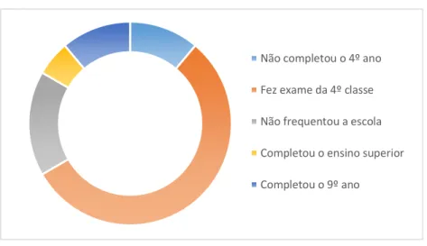 Figura 4 - Distribuição de frequências das habilitações literárias da amostra.