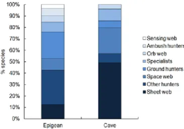 Fig. 7. Proportion of epigean and cave-obligate Iberian spider  species per family.