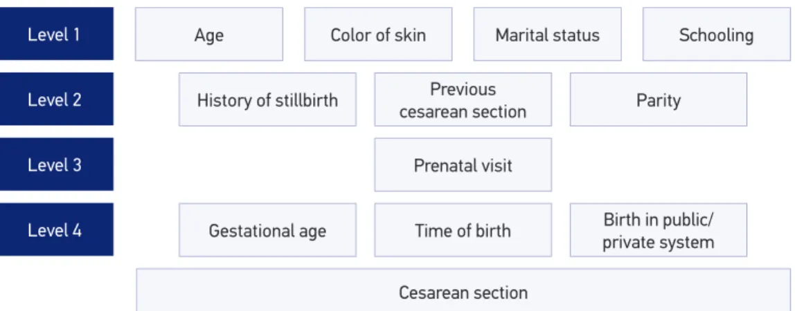 Figure 1. Hierarchical model of multivariate analyzes of factors associated with cesarean occurrence.