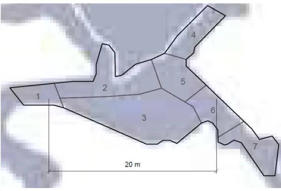 Figura 4.21 – Divisão da zona estudada nas grutas de Alvados em sete zonas. 