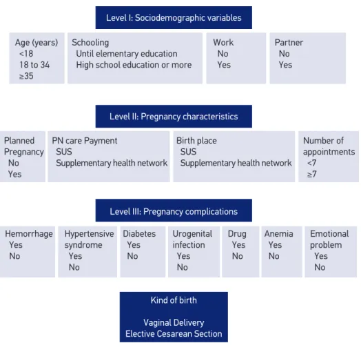 Figure 1. Analysis model of elective cesarean section.