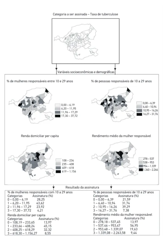 Figura 2. Distribuição proporcional (%) das principais variáveis analisadas segundo método de  assinatura ambiental do mapa de vulnerabilidade social
