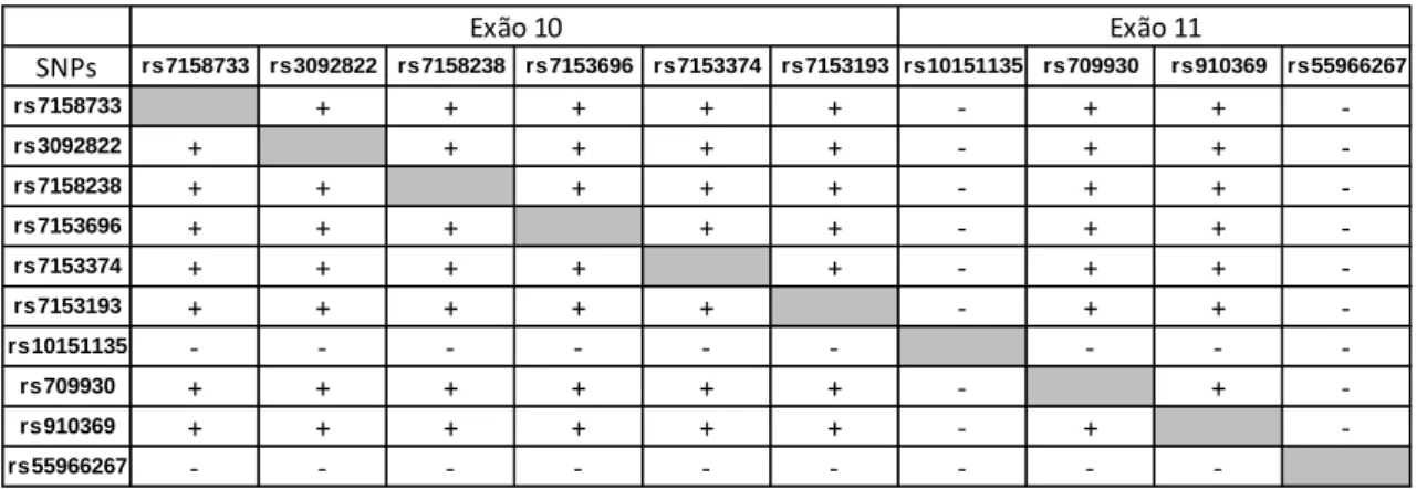 Tabela 5. Significância dos resultados do teste ao LD para todos os pares de SNPs, no grupo  de controlos (n=10)