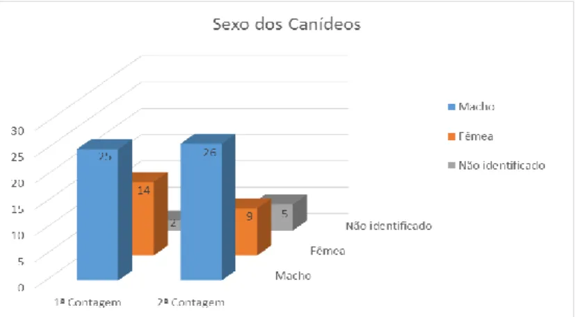 Gráfico 2 – Distribuição por sexo dos canídeos errantes encontrados durante o estudo  (n=81).