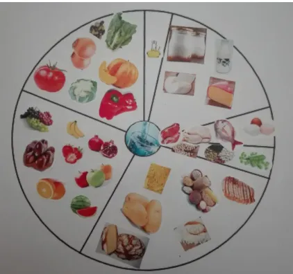 Figura 5 - Roda da Alimentação Mediterrânica do G2 
