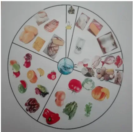 Figura 7 - Roda da Alimentação Mediterrânica do G4 