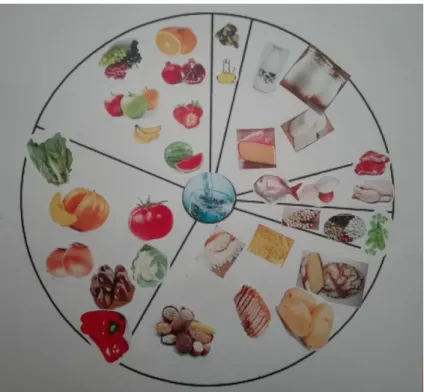 Figura 8- Roda da Alimentação Mediterrânica do G5 