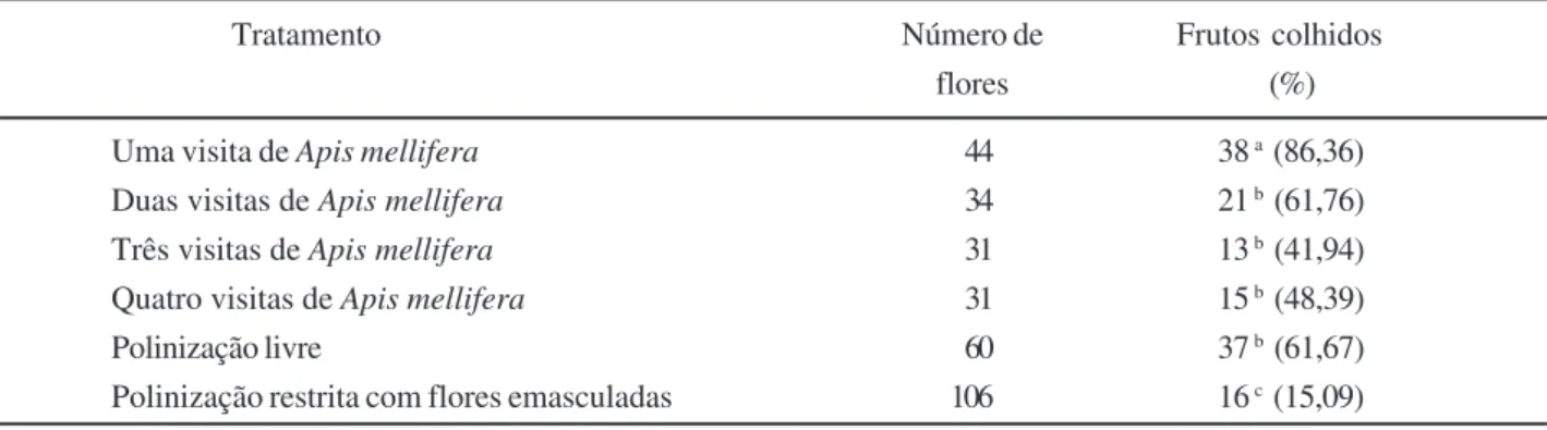 Tabela 2 - Produção de frutos na goiabeira (Psidium guajava cv. Paluma) sob polinização livre, polinização restrita com flores emasculadas e a partir de flores que receberam uma, duas, três e quatro visitas de abelhas africanizadas (Apis mellifera) no perí