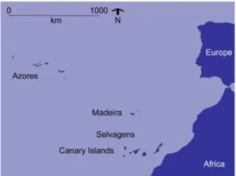 Figure 1 Location of the Macaronesian archipelagos considered in this study.