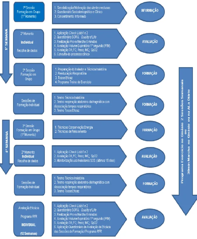 Diagram a 1 – Etapas Metodológicas e Estratégias de recolha de Dados  