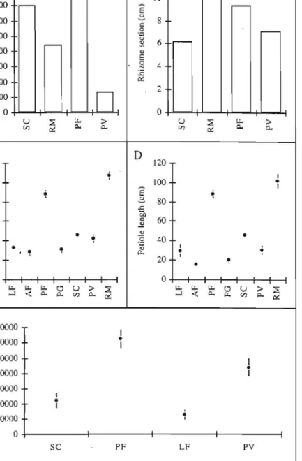 Figure 2.  Performance or Gunnera tinctoria  in Sao Miguel  island.  A,  number of paniclesiha;  B,  rhizome section (mean); C,  leaf diameter (mean and  standard error);  D,  petiole  length (mean and  standard error); E,  number of seeds/panicle (mean an