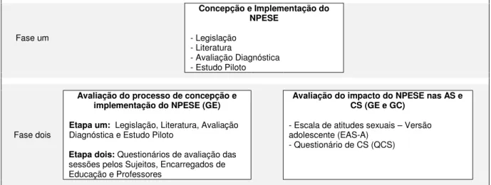 Figura 1 Fases do estudo. 