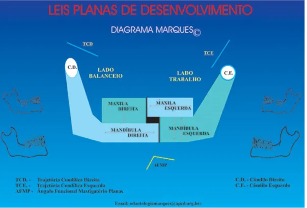 Figura  1.  Diagrama Marques  -  Disponível em http://www.odontologiamarques.com.br/diagrama- http://www.odontologiamarques.com.br/diagrama-marques/ 