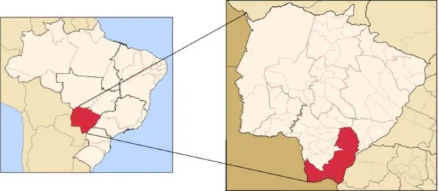 Figura 1: O estado de Mato Grosso do Sul e a Microrregião de Iguatemi 