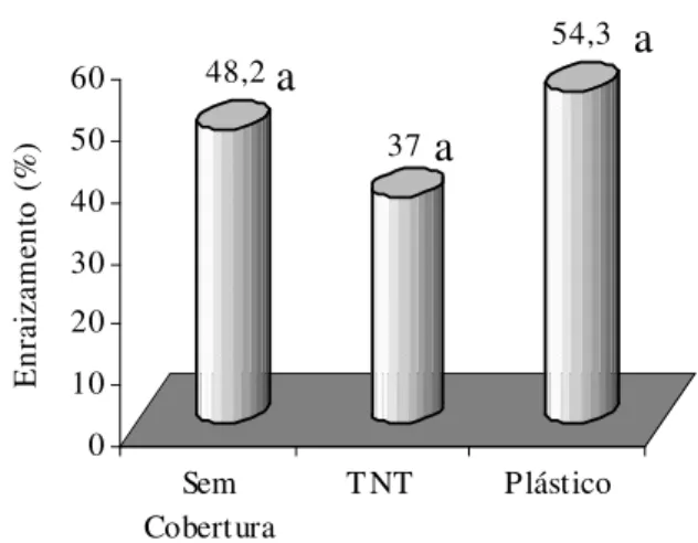 Figura 1 - Percentagem de estacas de Celtis triflora (Kl) Mig enraizadas sob influência de diferentes tipos de cobertura