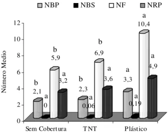 Figura 2 - Efeito do tipo de cobertura no número de brotos prin- prin-cipais (NBP), número de brotos secundários (NBS), número de folhas (NF) e número de raízes principais (NRP) de estacas de Celtis triflora (Kl) Mig