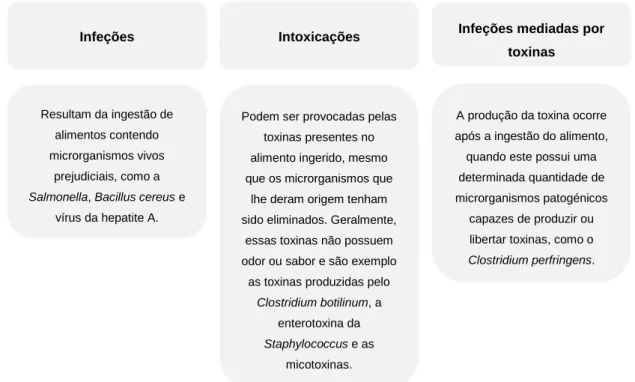Figura 1. Tipos de doenças transmitidas por alimentos (Baptista e Antunes, 2005). 