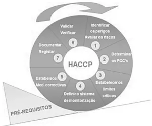Figura 3. Relação entre os pré-requisitos e os princípios HACCP (Delgado, 2006). 