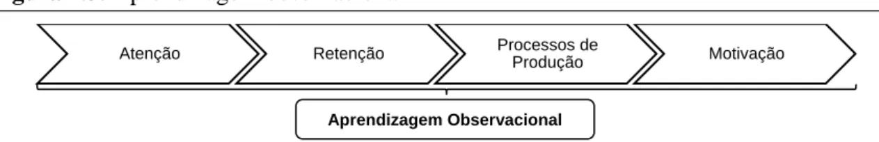 Figura 1.3. Aprendizagem observacional 