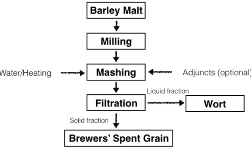 Figure 1.4: Overview of the process to obtain BSG from malted barley (Mussatto et al.,  2006)