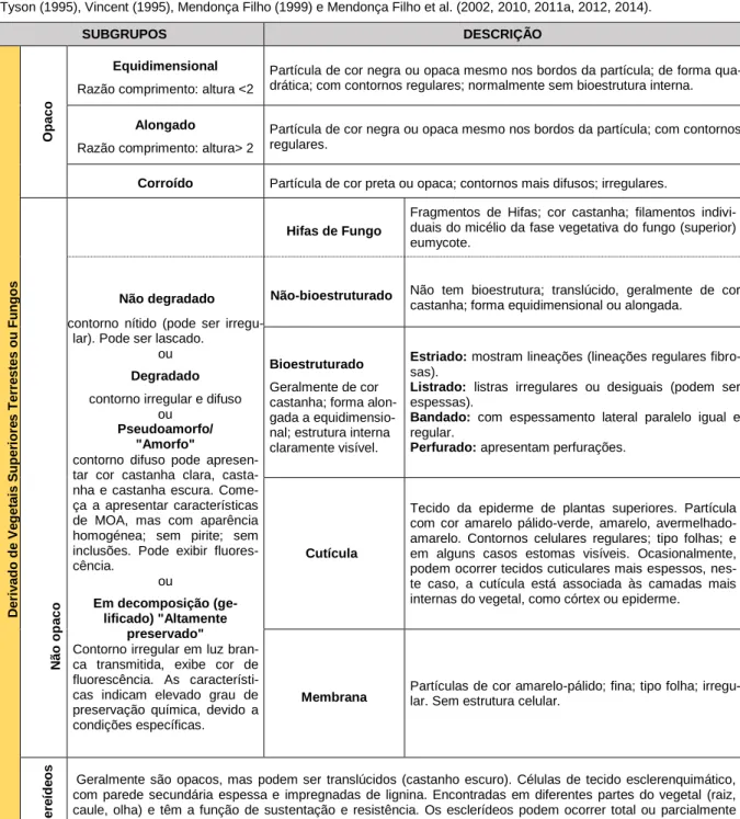 Tabela  1  –  Classificação  detalhada  dos  componentes  palinológicos  individuais  para  o  Grupo  de  Fitoclastos  proposto  por  Tyson (1995), Vincent (1995), Mendonça Filho (1999) e Mendonça Filho et al