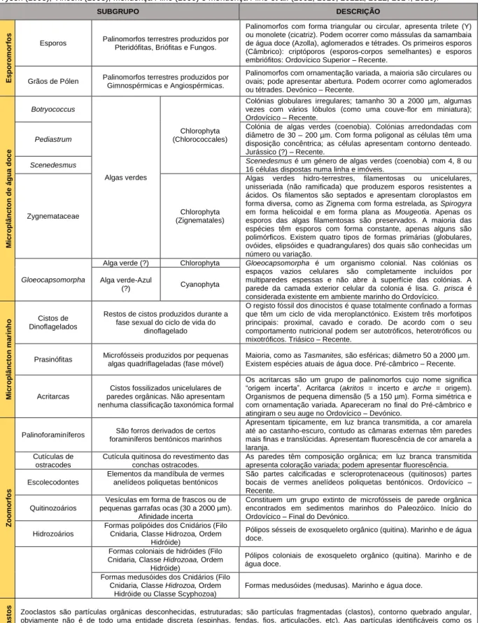 Tabela  3  -  Classificação  detalhada  dos  componentes  palinológicos  individuais  para  o  Grupo  dos  Palinomorfos  proposta  por  Tyson (1995), Vincent (1995), Mendonça Filho (1999) e Mendonça Filho et al