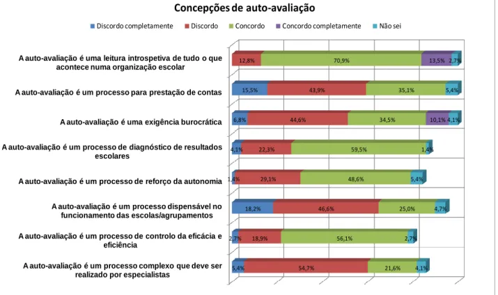 Gráfico 7:Concepções do processo de auto-avaliação 