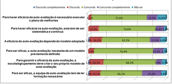 Gráfico 13:Factores de eficácia no processo de auto-avaliação 