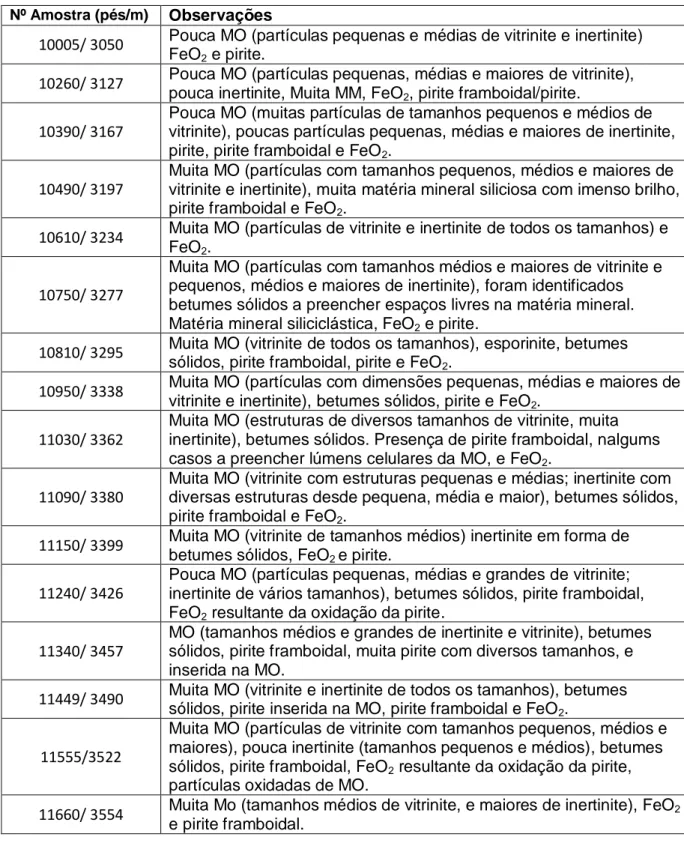 Tabela 5. Resumo da caracterização petrográfica das amostras estudadas da Formação Domo de Xisto Inferior