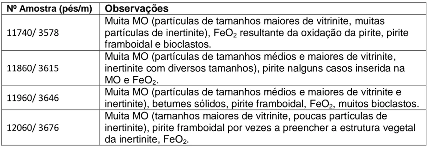 Tabela 6. Resumo da caracterização petrográfica das amostras estudadas da Formação Sena