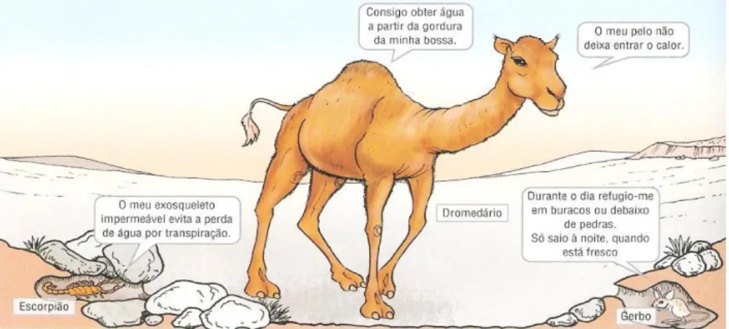 Fig. 24- Imagem com CA´s no manual: Viva a Terra!: ciências da natureza: 5º, 2º ciclo do  EB, 2011, p.66