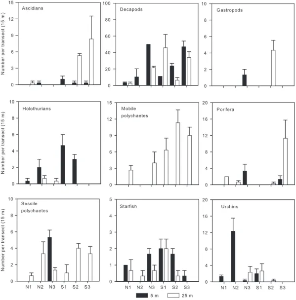 Fig. 3. Mean ( + SE, n = 9) abundance of invertebrates in relation to coastal orientation and depth