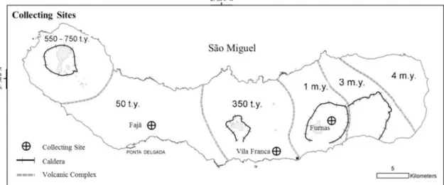 Figure 2. Collecting sites in São Miguel Island. M.y. million years; t.y.,thousand years.
