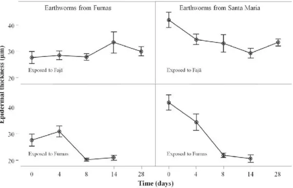 Figure 4. The epidermal thickness (µm) variation with time (days) and respective standard error bars  in Amynthas gracilis collected in Furnas, S